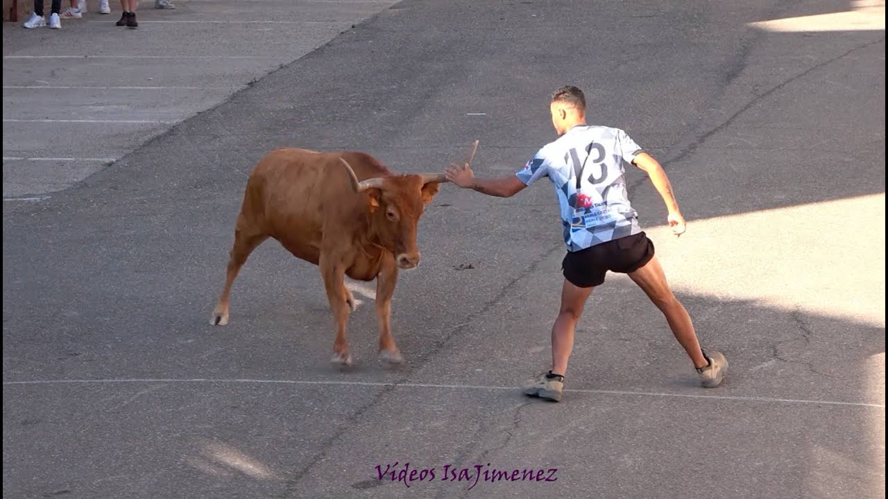 Luceni (Zaragoza) - Suelta de reses - 28/08/2025 - HD