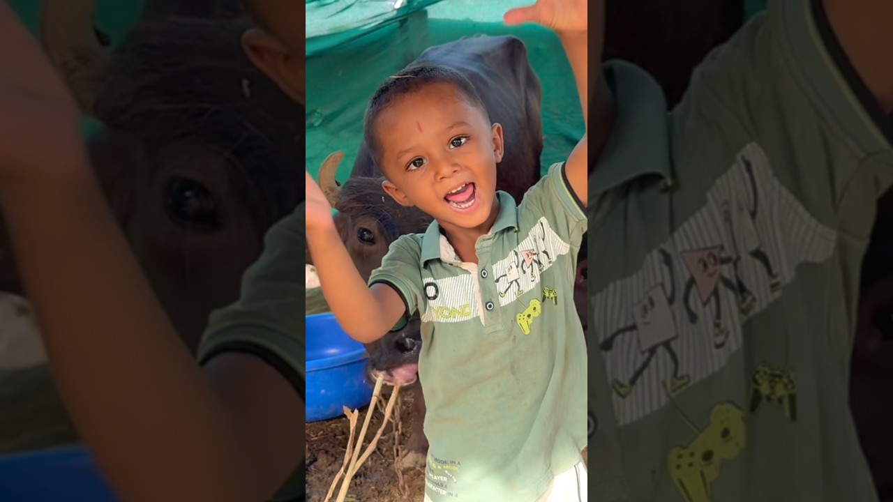 Little one... big responsibility! 😱 3-year-old boy single-handedly fed fodder to buffaloes! |#shorts #babyvlog #
