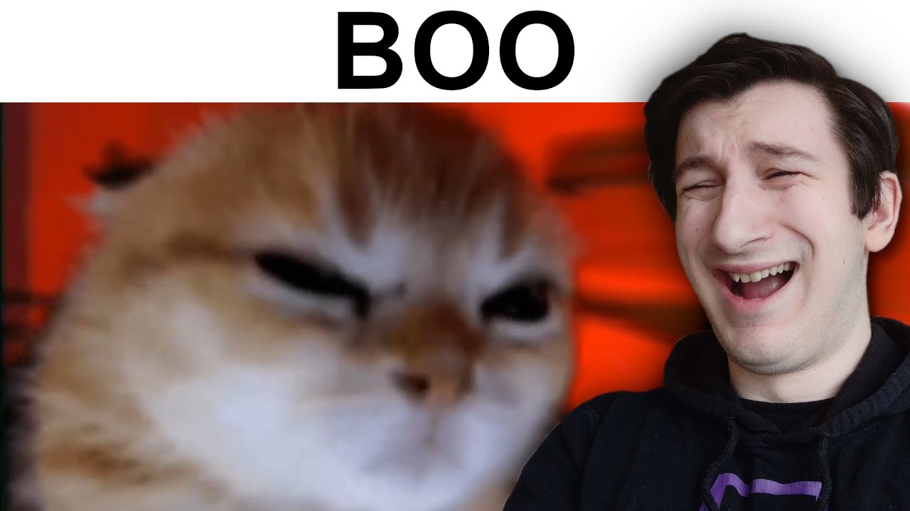 Reacting to your SPOOKY Memes 👻