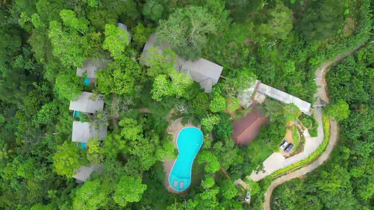 Celestial Hills, Narampanawa: A 60-Second Escape to the Clouds 🌄☁️