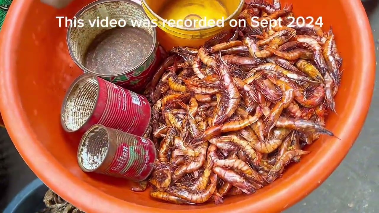Where to get crayfish very cheap in Lagos Nigeria | Crayfish market in Lagos