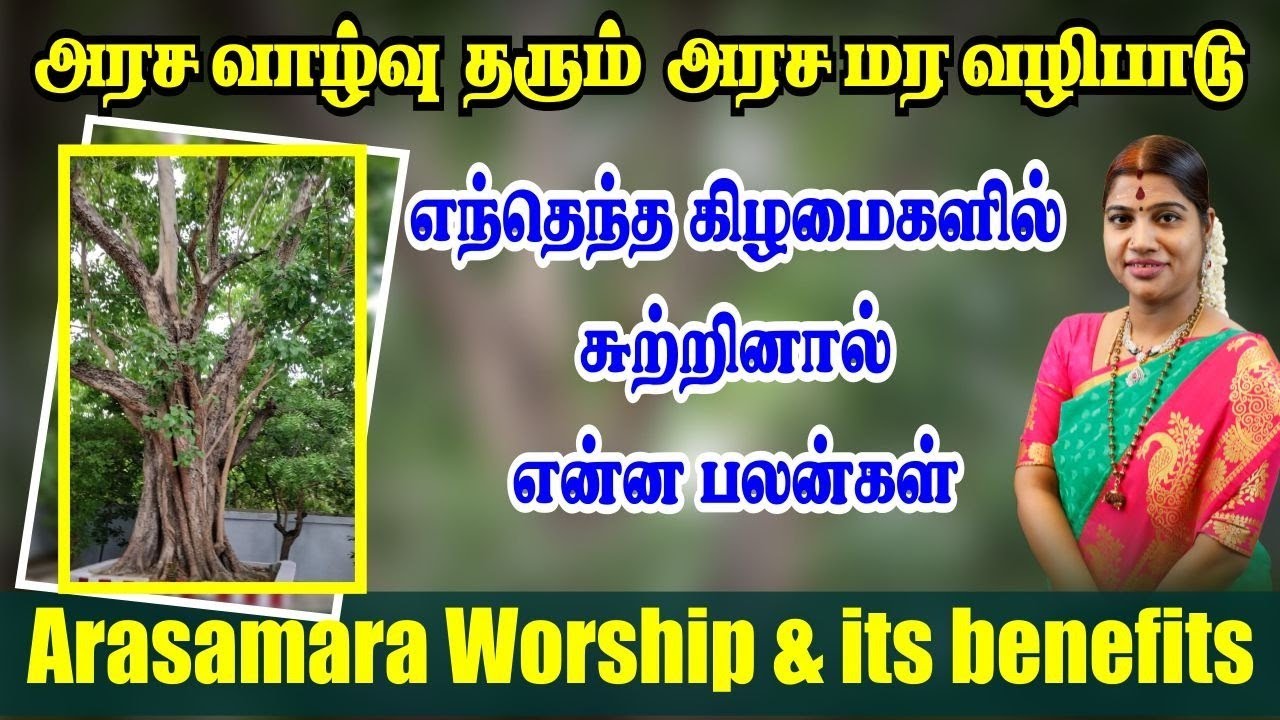 அரசமர வழிபாட்டின் சிறப்புகள் | எந்த கிழமையில் சுற்றினால் என்ன பலன்| Arasamara Worship & its benefits