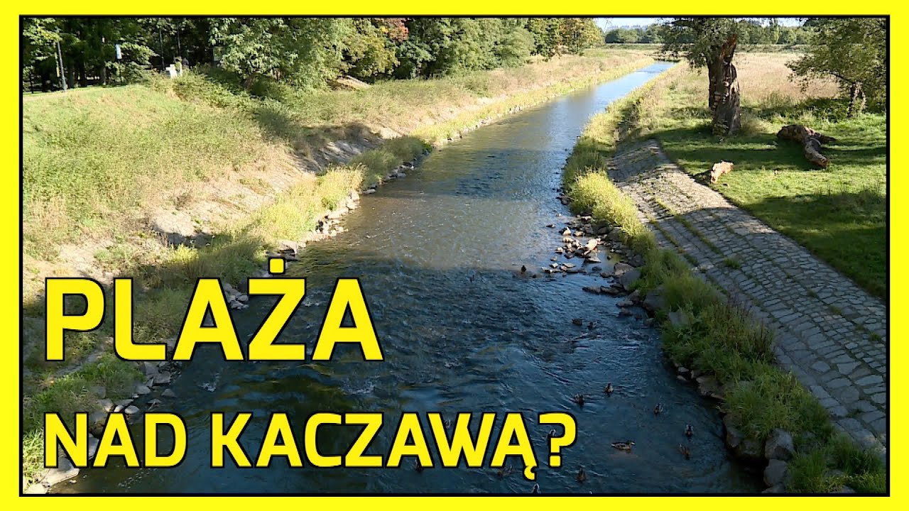 LEGNICA. Plaża w parku Miejskim?