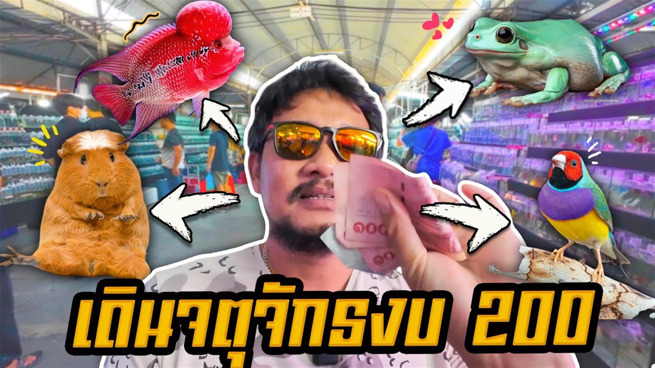 เดินตลาดจตุจักรเดือนมกราคม งบ 200 บาท