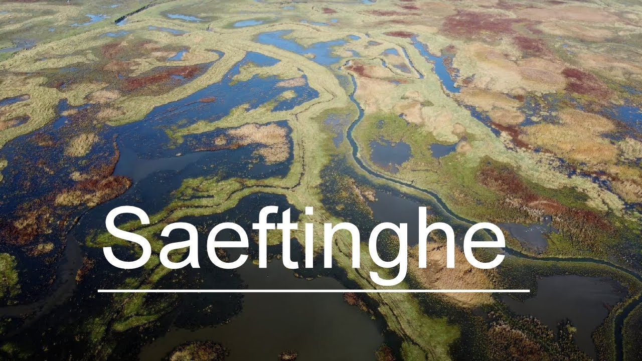 Netherlands From Above | Saeftinghe