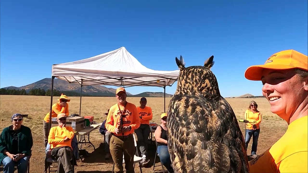 AZPDC Quail Challenge 2023
