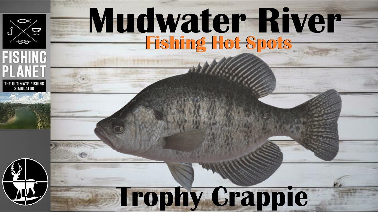 How To Catch Trophy Crappie | Mudwater River | Fishing Planet Hot Spots