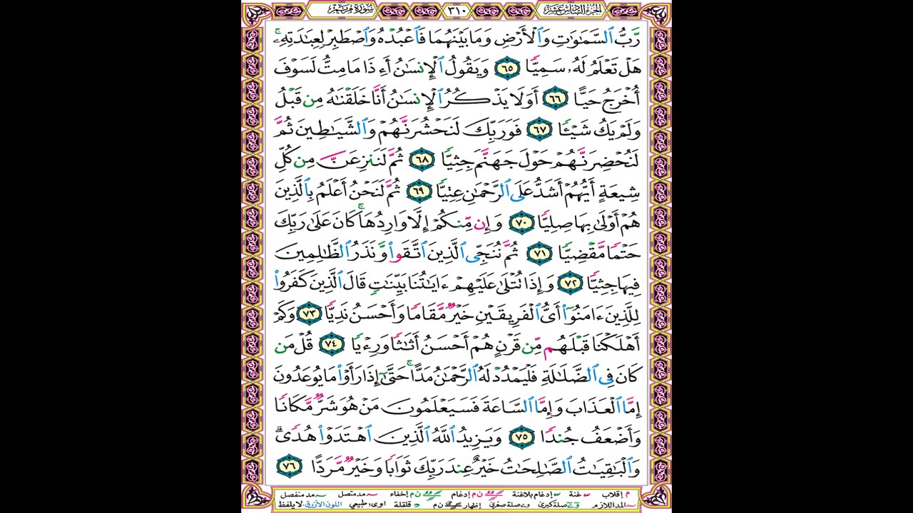 صفحة 310 من المصحف المعلم المرئي المسموع بصوت الشيخ محمود الحصري