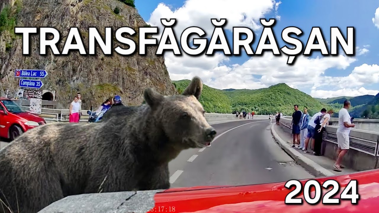Transfagarasan traseu Curtea de Arges - Baraj Vidraru DN 7C Romania 🇷🇴 video 4K august 2024