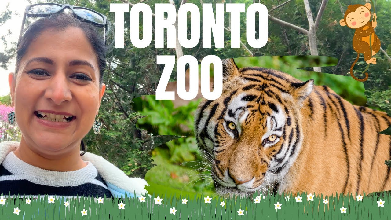 Toronto Zoo Explained! Zones, Tickets, Parking & Tips for First-Time Visitors