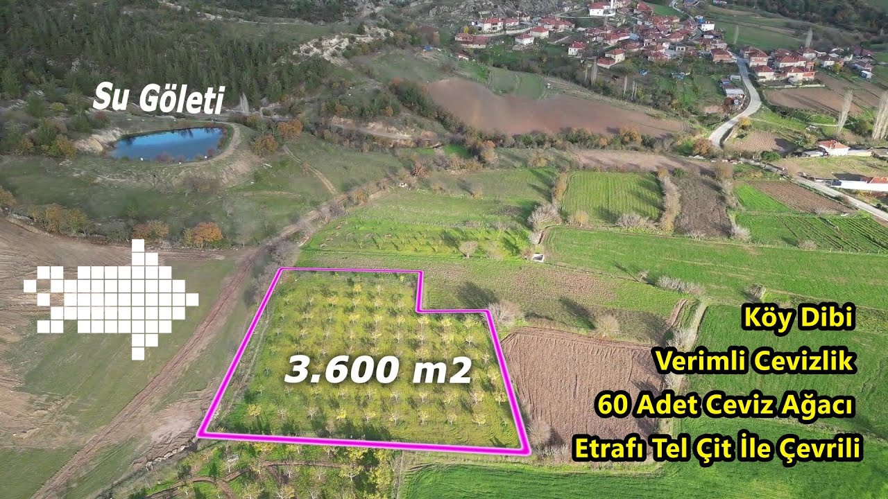 3.600 m2 /60 Adet Ceviz Ağacı olan / Köy Dibi Satılık Tarla
