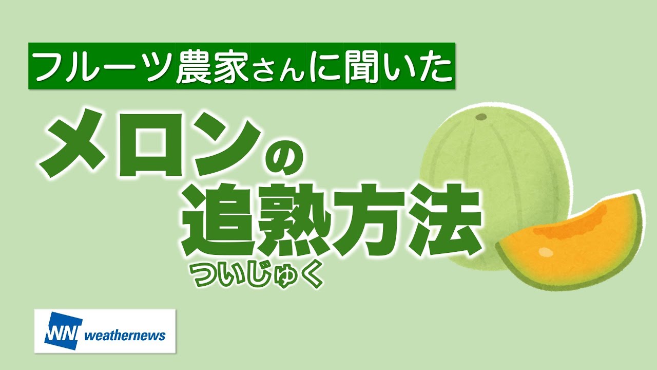 早く食べたいあなたに！追熟に最適なメロンの保存法