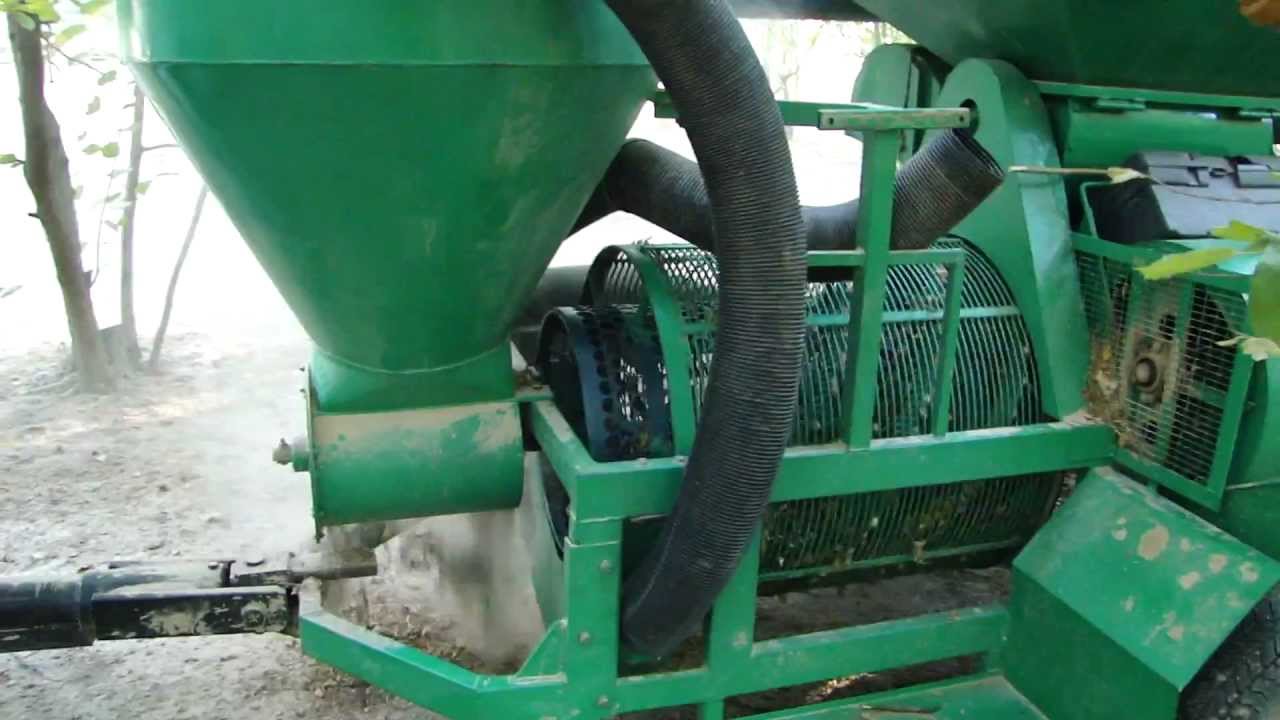 Zbiór kombajnem orzechów laskowych