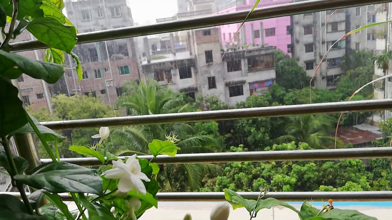 Brishti from Balcony!