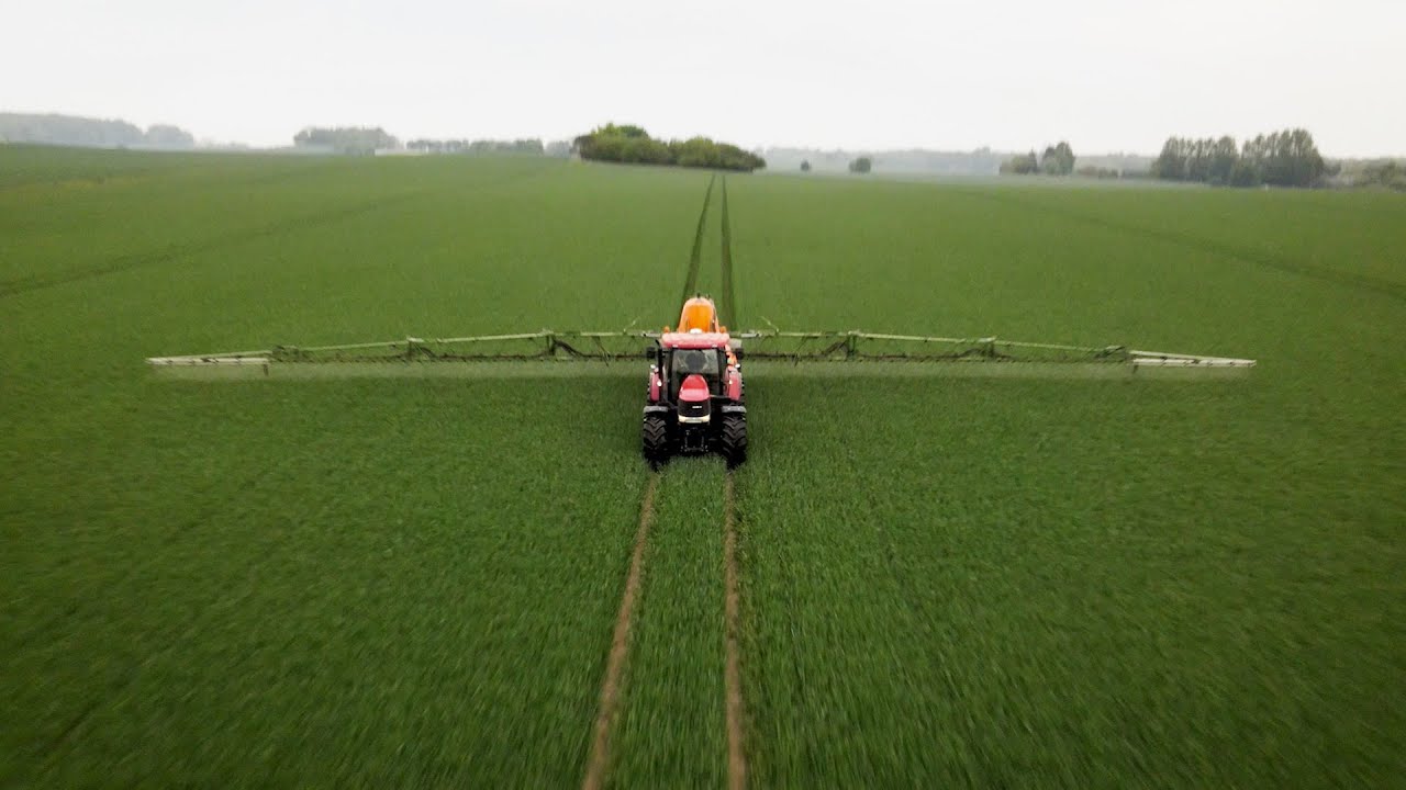 Erfaringer med Balaya® svampebehandling i hvede hos Næsbyholm og Bavelse Godser.