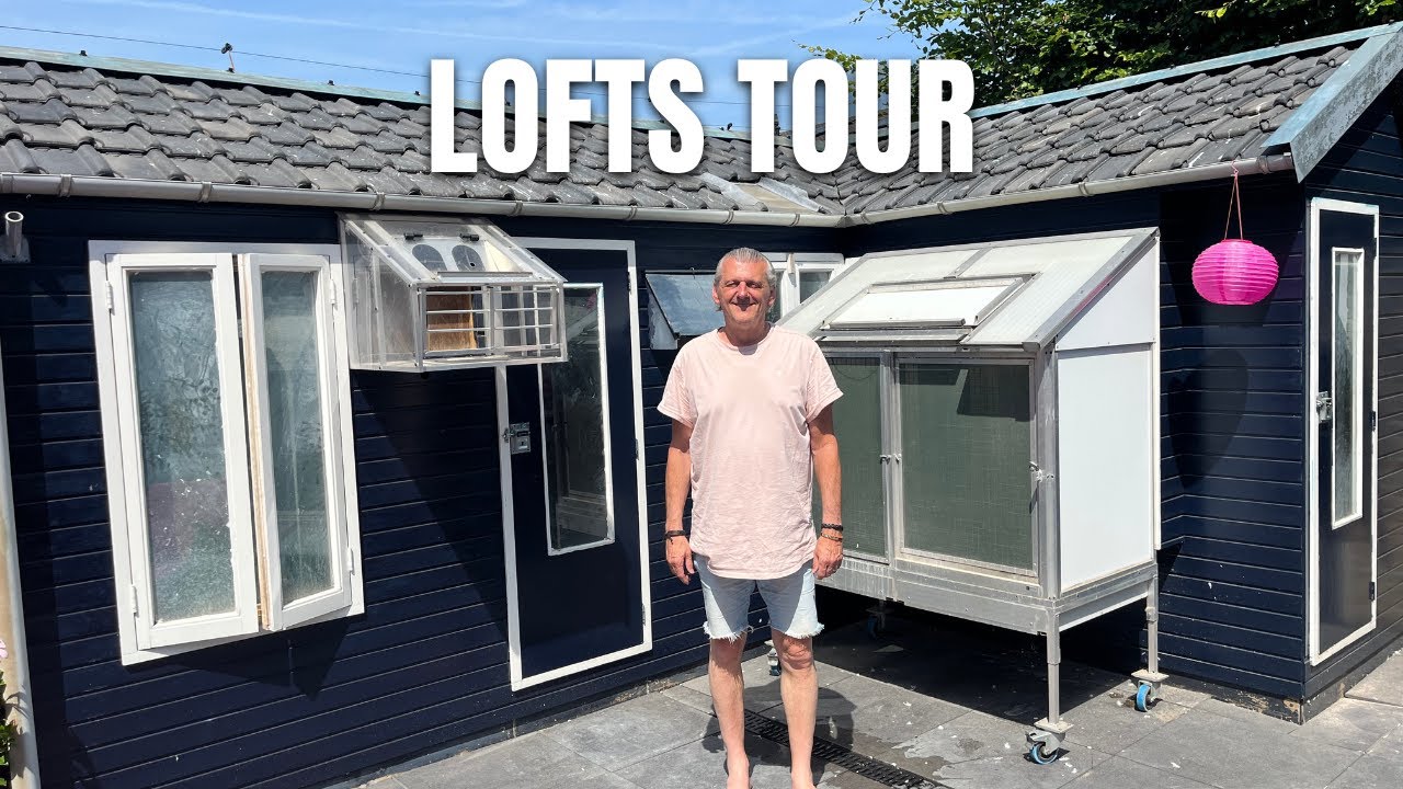 AMAZING Tour Through My Racing Pigeons Lofts!