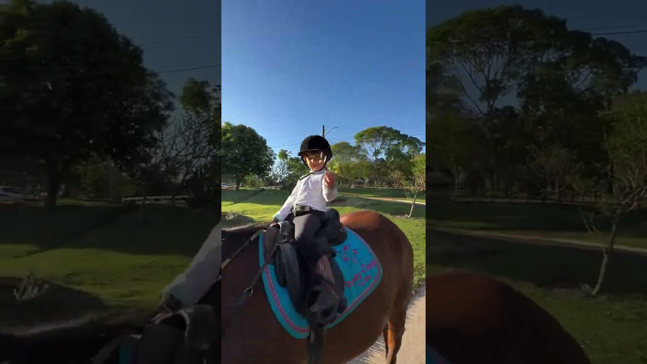aula de hipismo #shorts