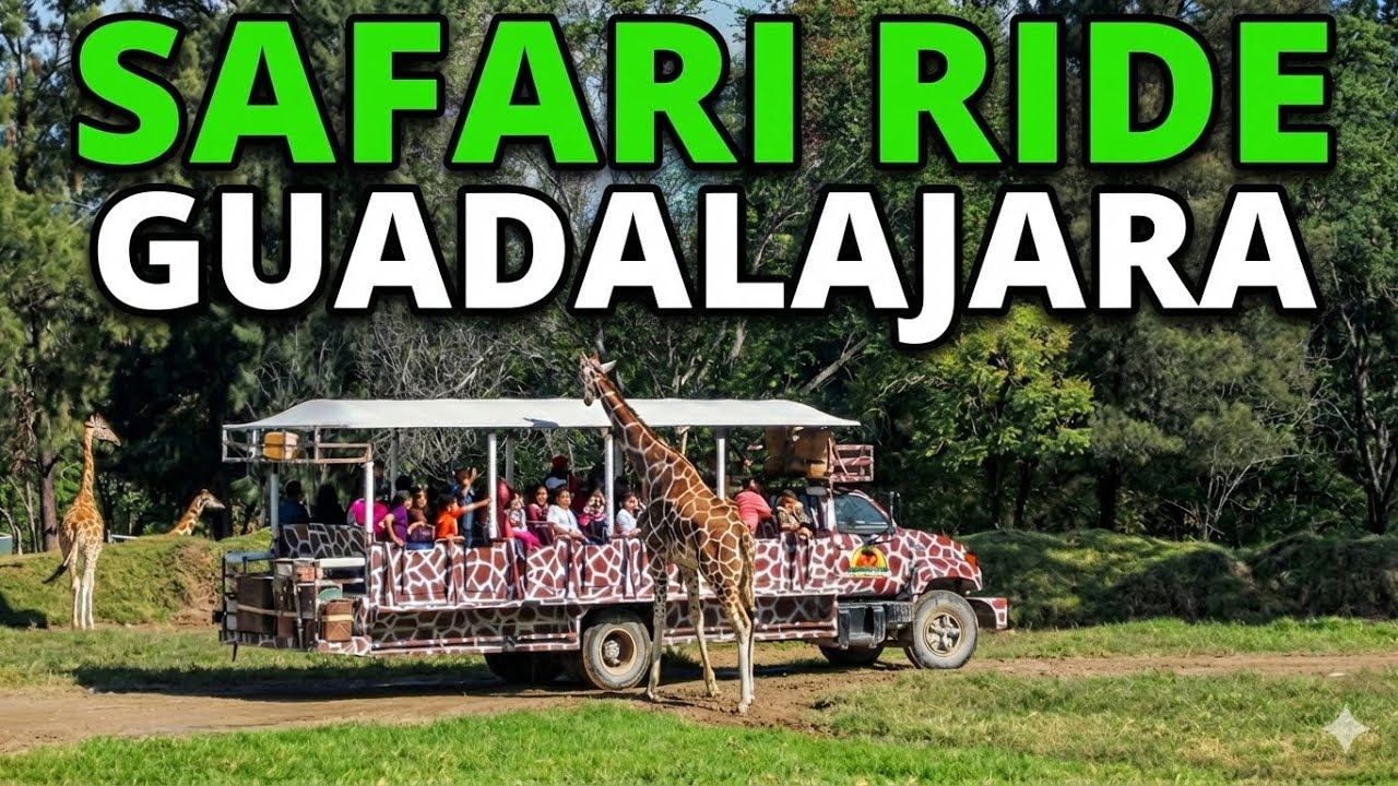 Safari Ride | Zoológico  Guadalajara 
