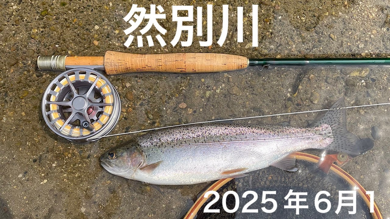 然別川　2025年6月1日