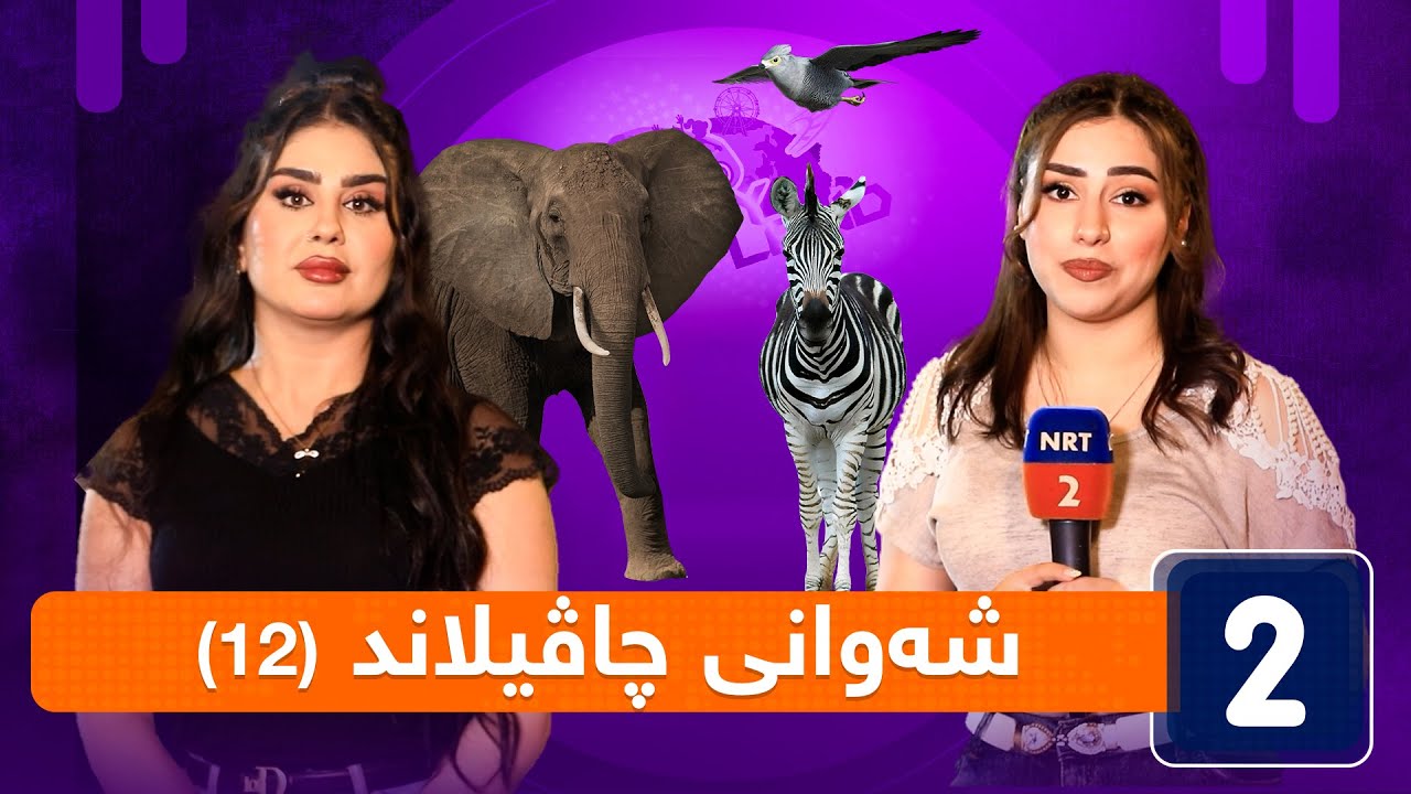 شەوانی چاڤیلاند - ئەڵقەی (12)