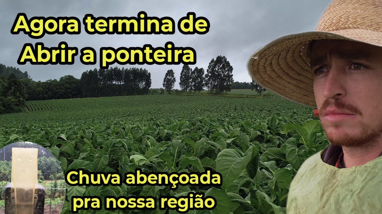 Termina de abrir os fumo com essa chuva 