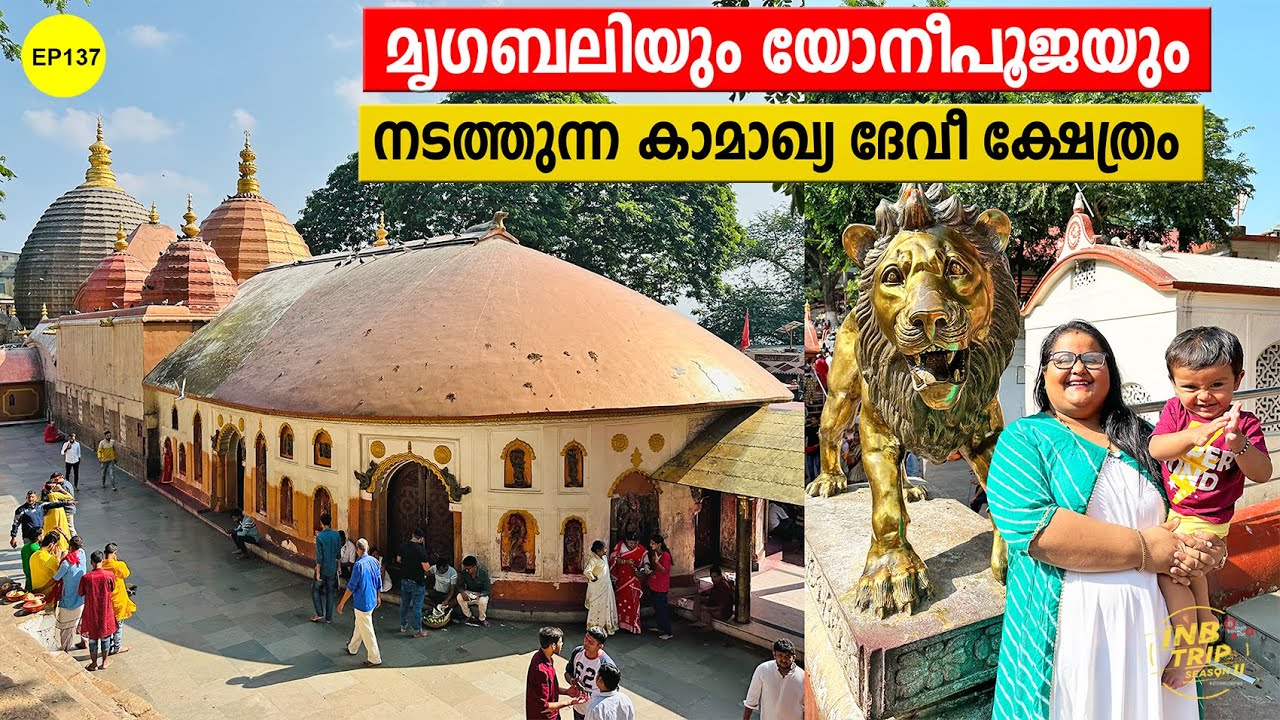 EP 137 മൃഗബലിയും യോനീപൂജയും | Exploring Guwahati, Assam, Kamakhya & Kerala Food