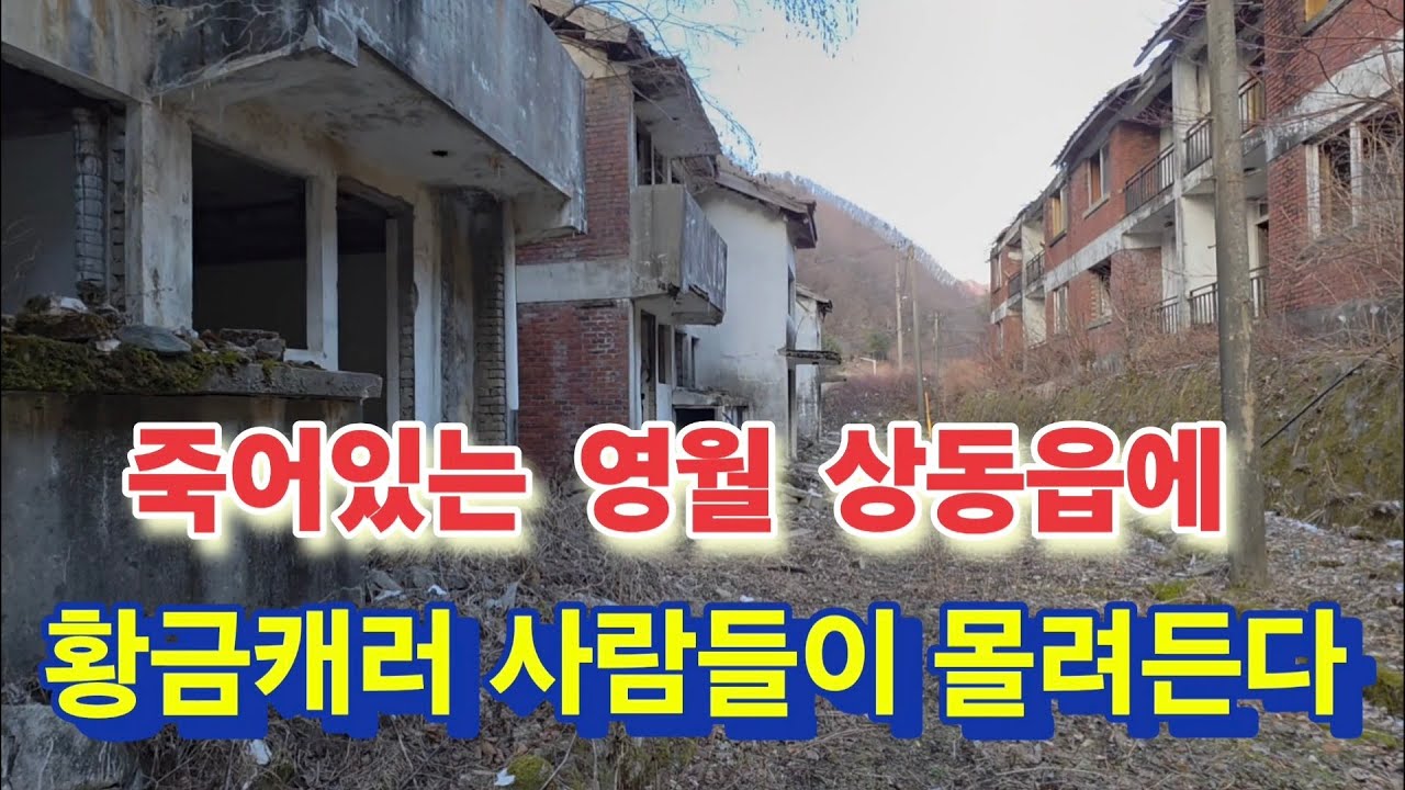 황금을 캐러 사람들이 몰려들어 영월에 난리가 났다는데?