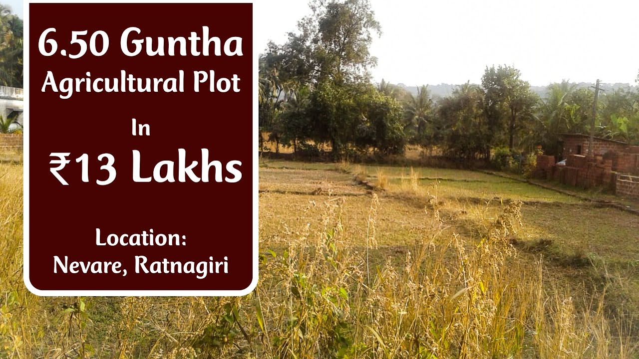 (Property Sold) 6.50 Guntha Agriculture Plot for Sale in Nevare, Ratnagiri.