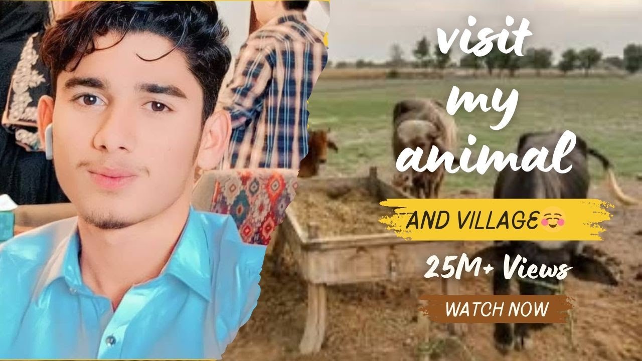 My 2nd vlog animal visit 🐄🐖🐮🐂🥰🥰 saraiki language 😎🤟🫣🫣🫀🫂💯 please sports bro 🫀💯🫀💯