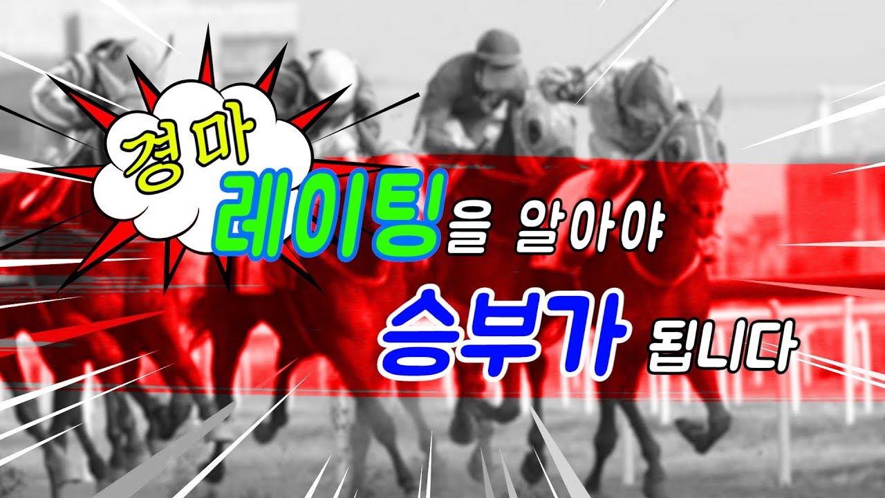 레이팅 얼마나 알고 계십니까? 레이팅 점수를 알아야 승부가 됩니다!!