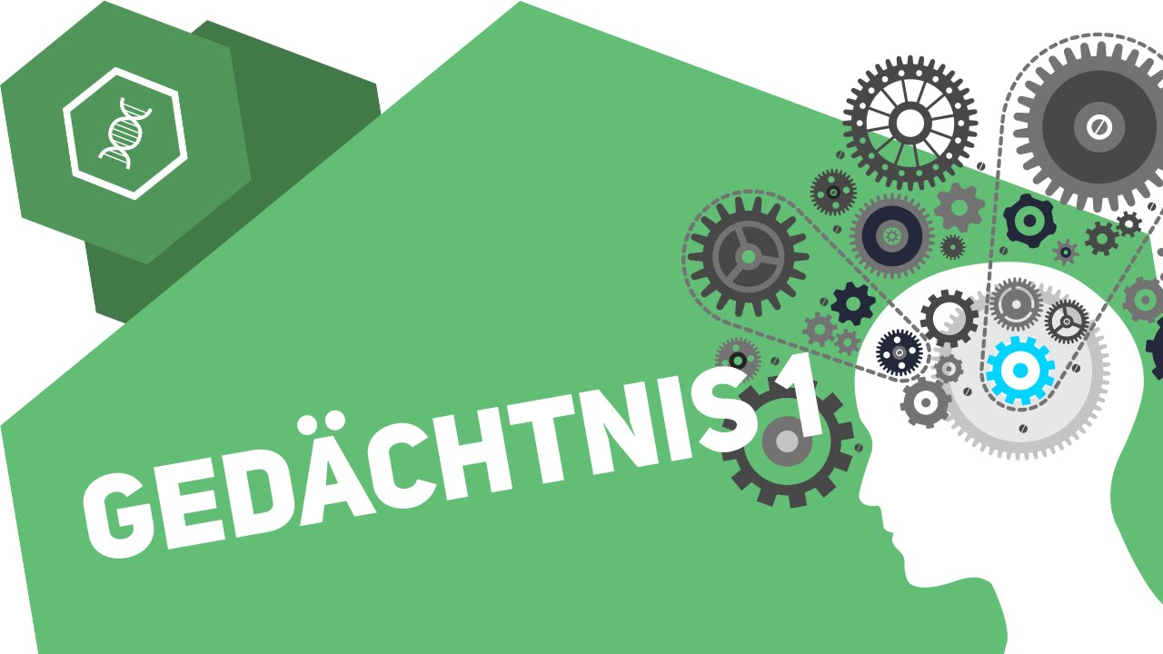 Ged&auml;chtnis &ndash; Wie funktioniert's?!