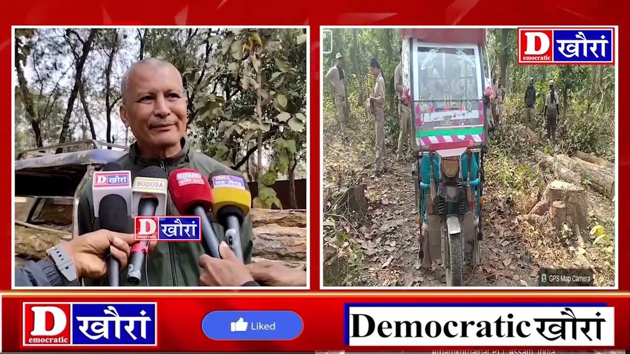 ⭕कक्राझारनि पर्बतझरा महकुमानि सिङाव थानाय रुपसि फरेस्ट रेन्जनि सिङाव गोख्रों संदान्दों।