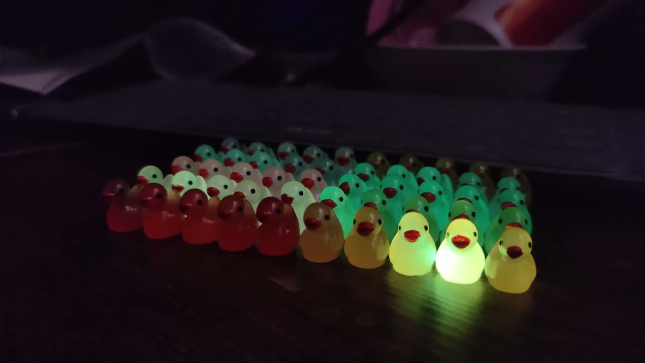 My duck army. Extra fabulousness added with blue laser 