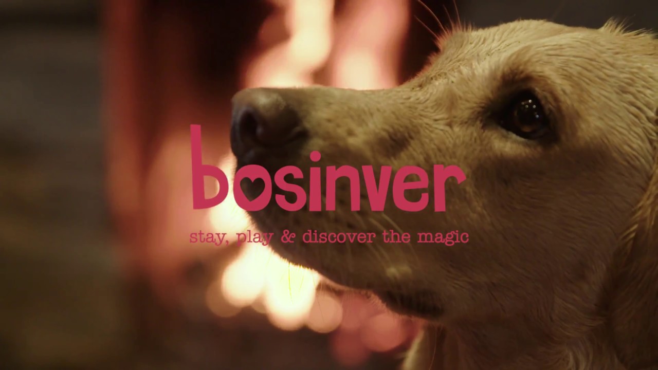 Dog Friendly holidays in Cornwall with Bosinver Farm Cottages