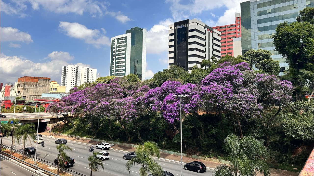 São Paulo🇧🇷South America Trip Day 9 Unedited Videos Brazil Av. Paulista Liberdade Japao 20250321