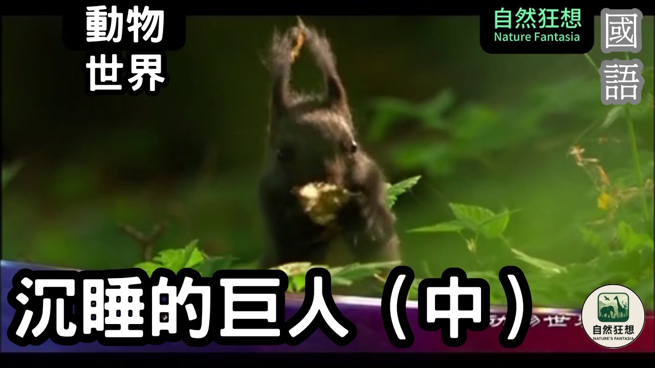 [國語高清] 沉睡的巨人（中）：大地深處的沉默守護者 #沉睡的巨人 #巨人傳說 #沉睡的巨人 #巨人傳說 #神話與歷史 #自然奇觀 #探索未知