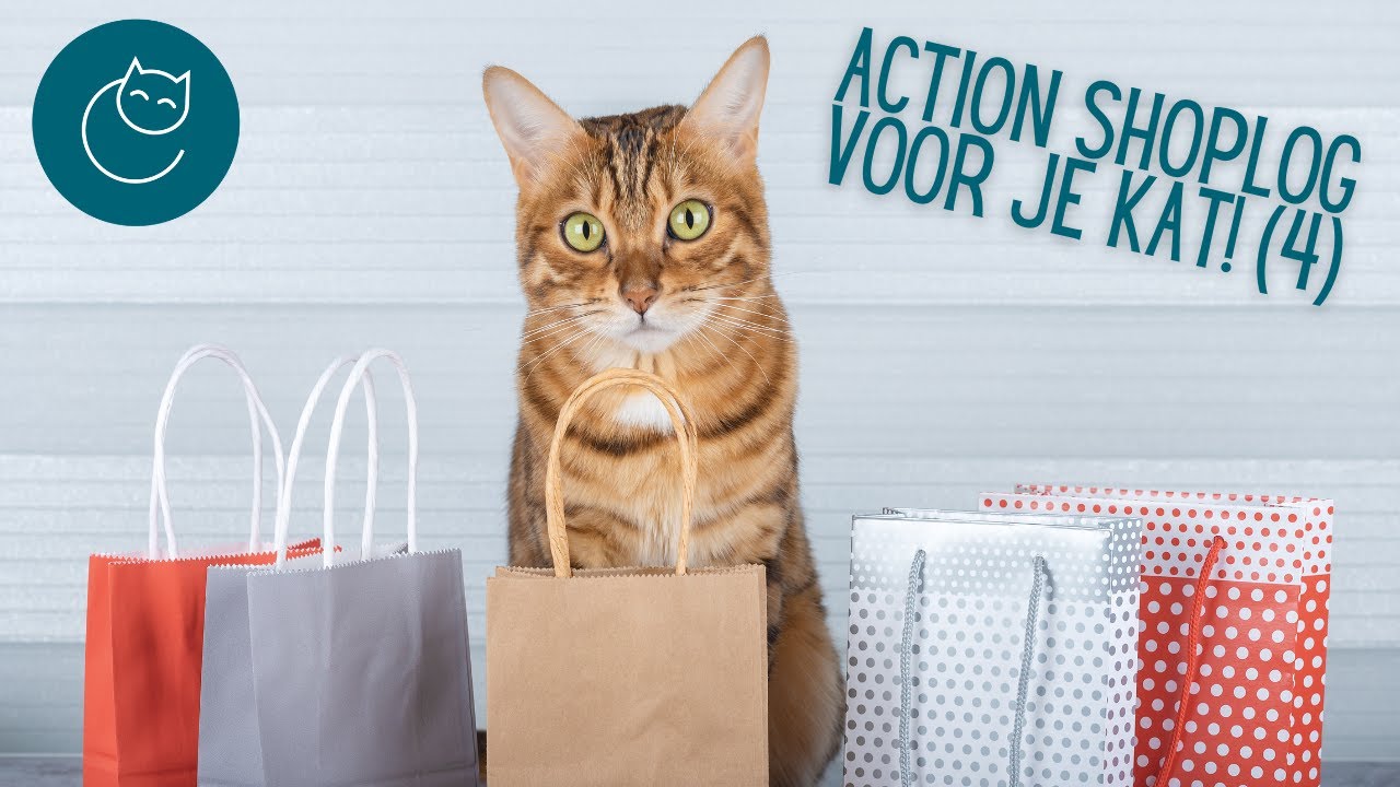 ACTION SHOPLOG 4 - De gelukkige huiskat | Kattengedrag