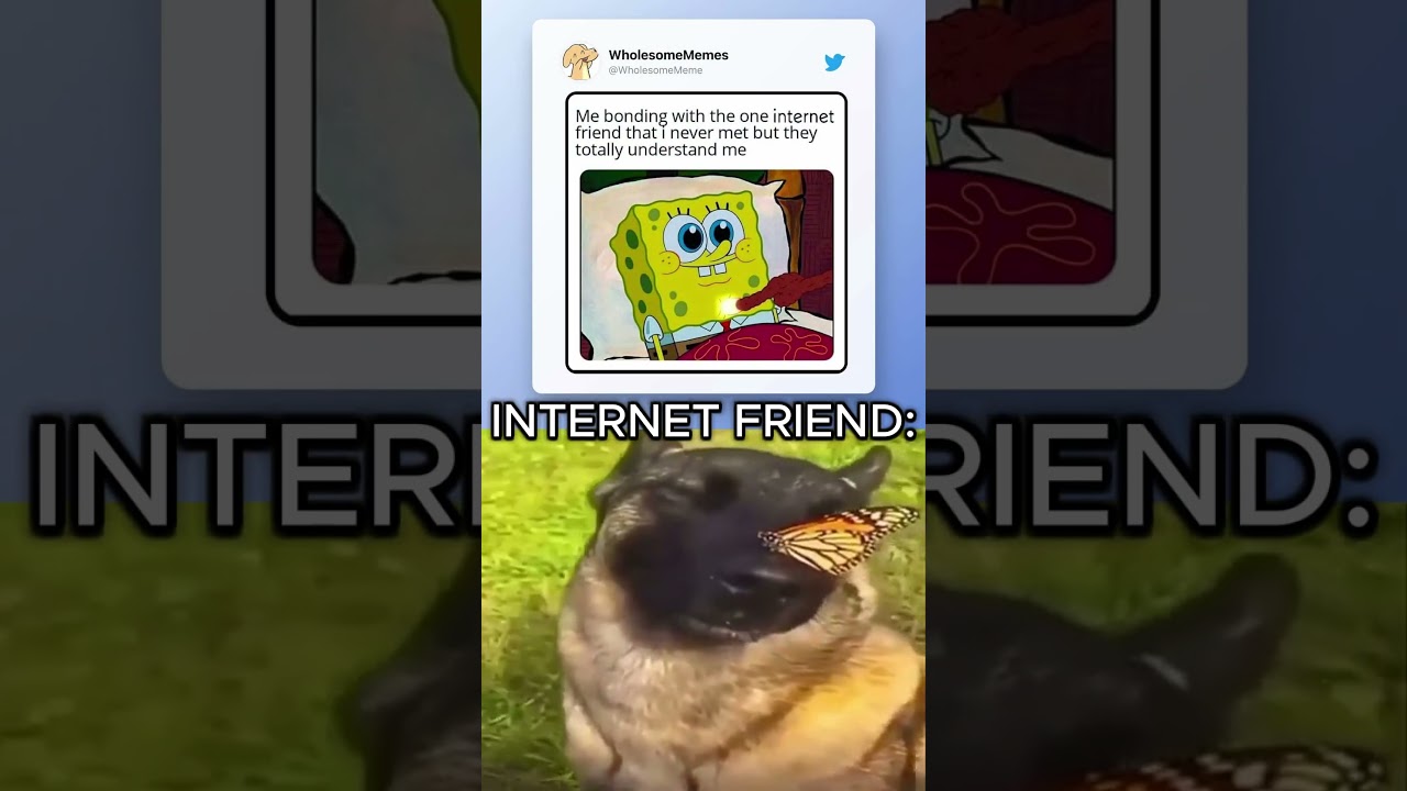 When you finally bond with your internet friend 🦋🐶 #shorts