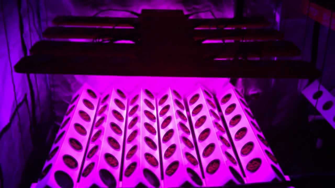 Testing Out A Super Cropper 72 Hydroponic System w/ Hydro Grow LED Lights