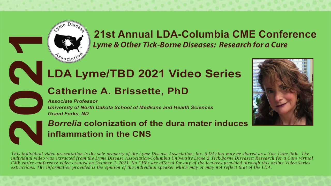 Catherine Brissette, PhD; Borrelia colonization of dura mater induces inflammation in CNS; 2021 Conf