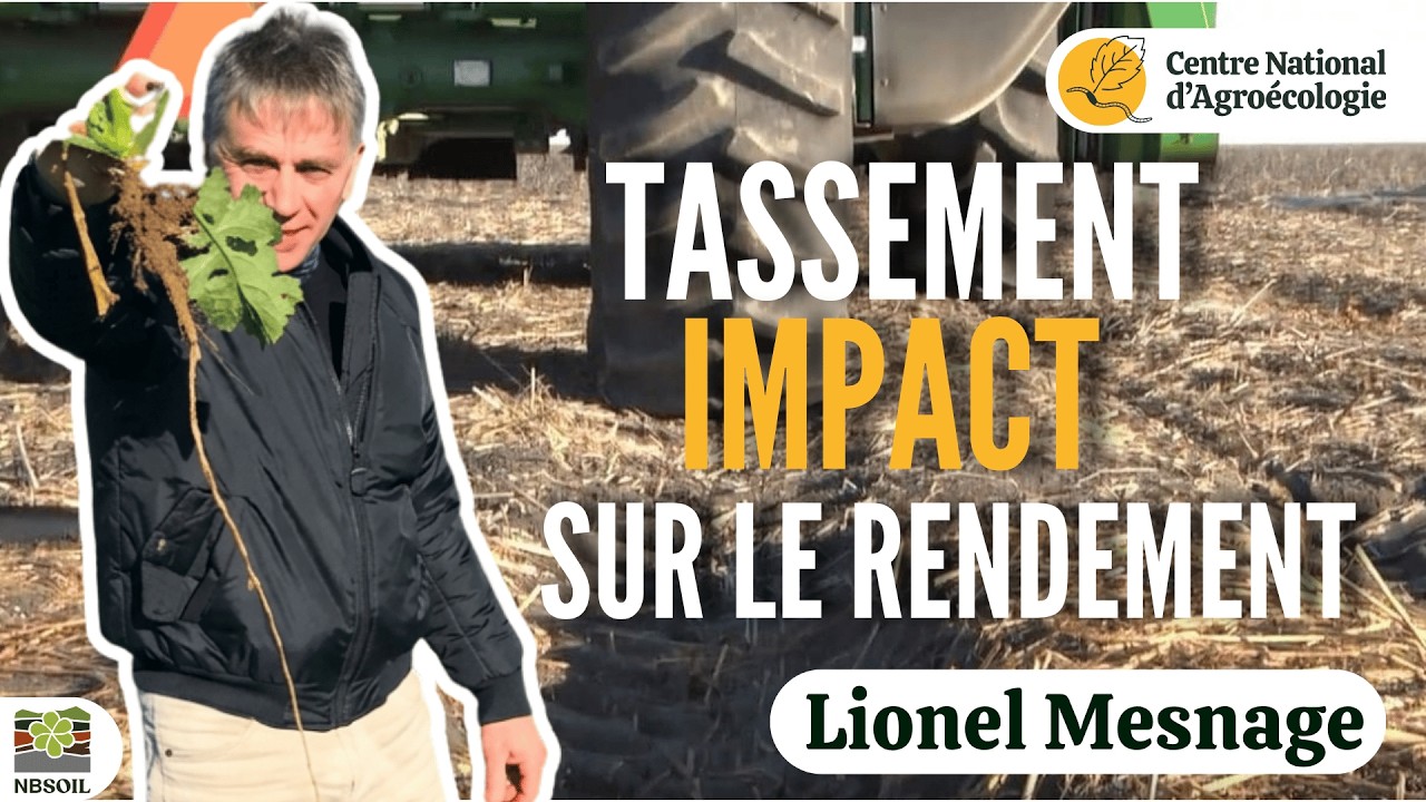Tassement des sols : L'ennemi silencieux qui d&eacute;truit vos rendements - Lionel Mesnage