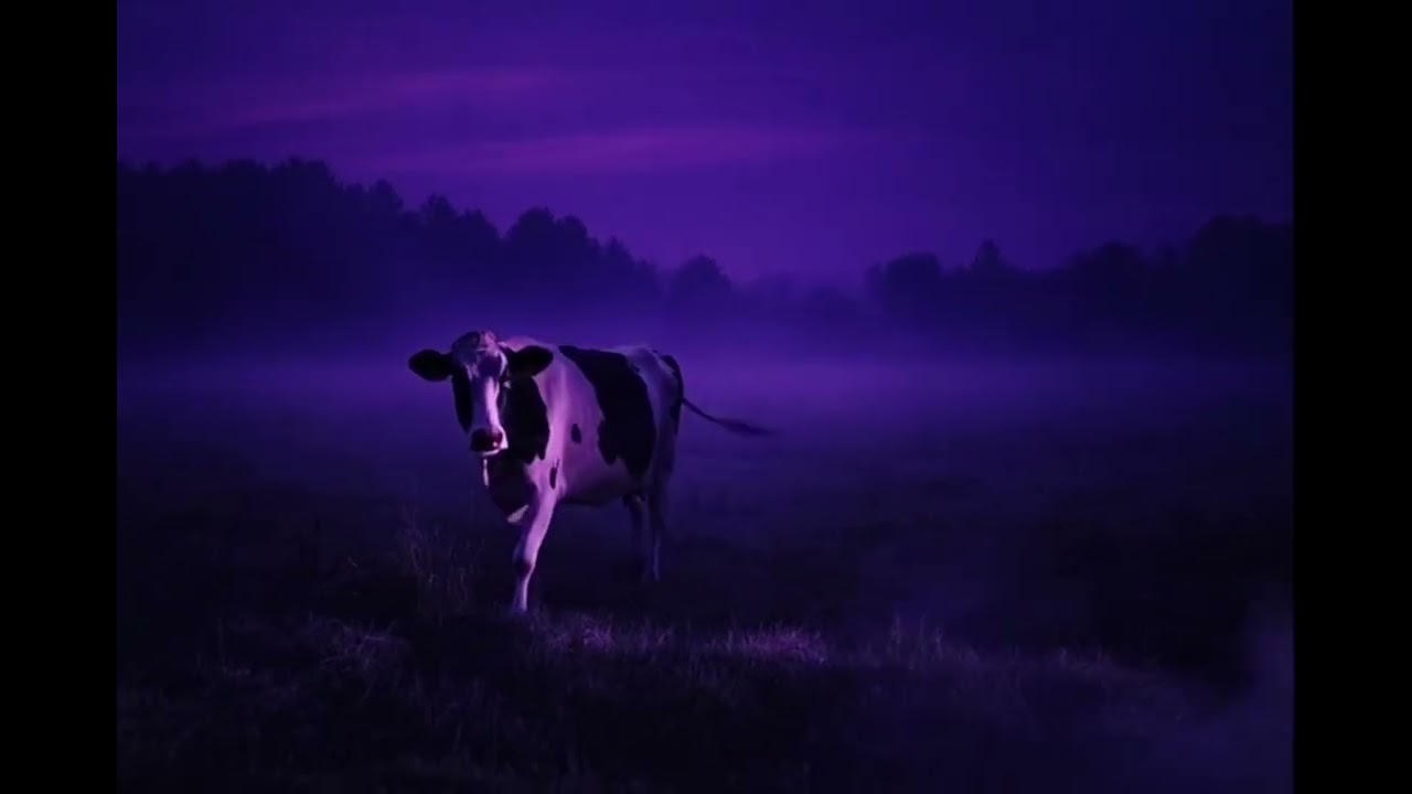 Pierre Dolę - Polish Cow Deluxe (Gdzie Jest Krowa, Kurwa) | Official Audio
