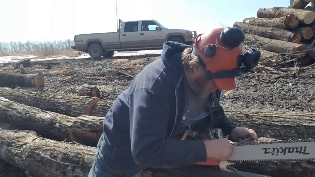 трелевка и раскряжевка бревен на высокой скорости! makita 7900 still 044 husky 372!
