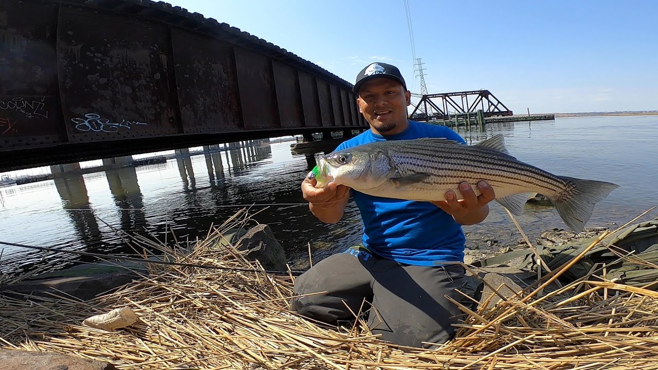 como usar señuelos plásticos para striper de orilla