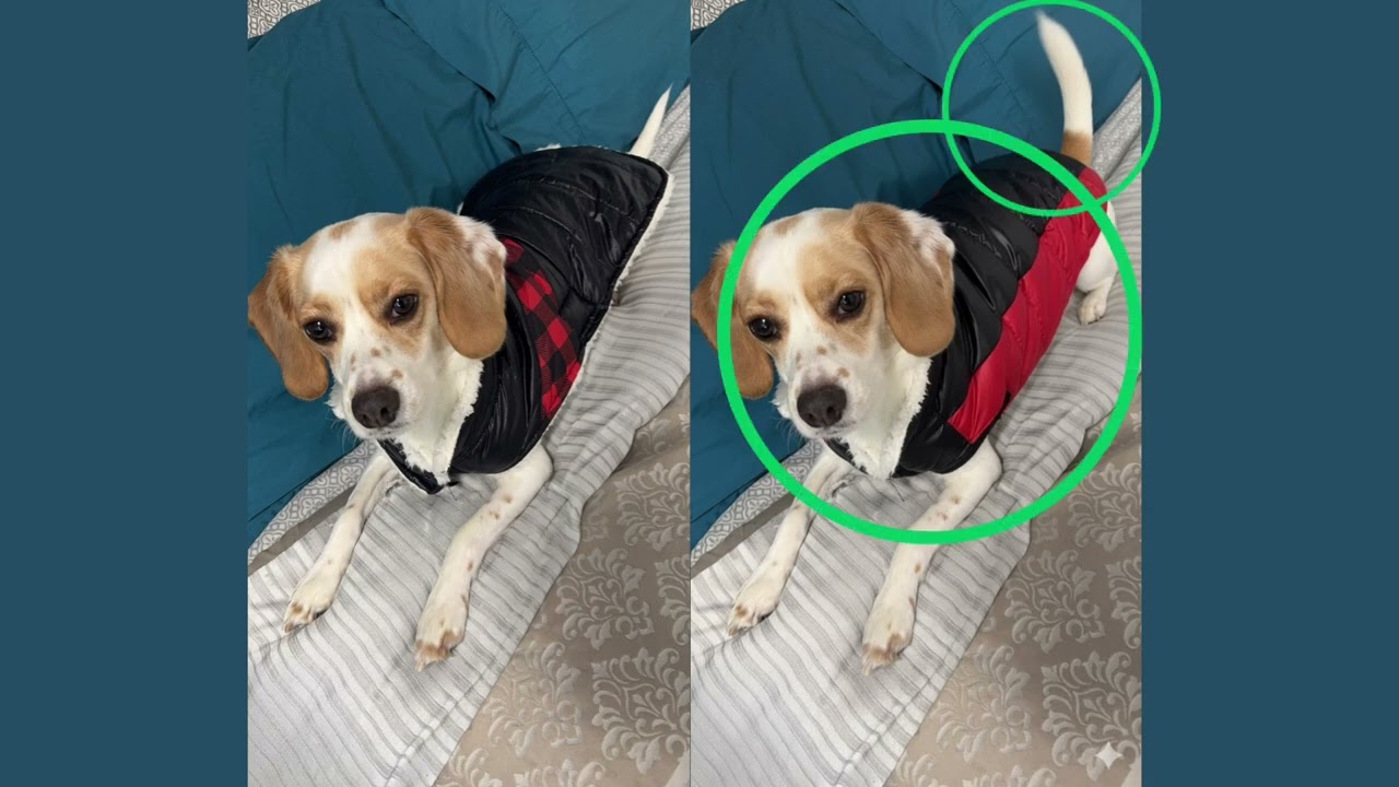 Spot The Difference | Captain Edition | #brainteaser #puzzlegame #gaming #spotthedifference #viral 