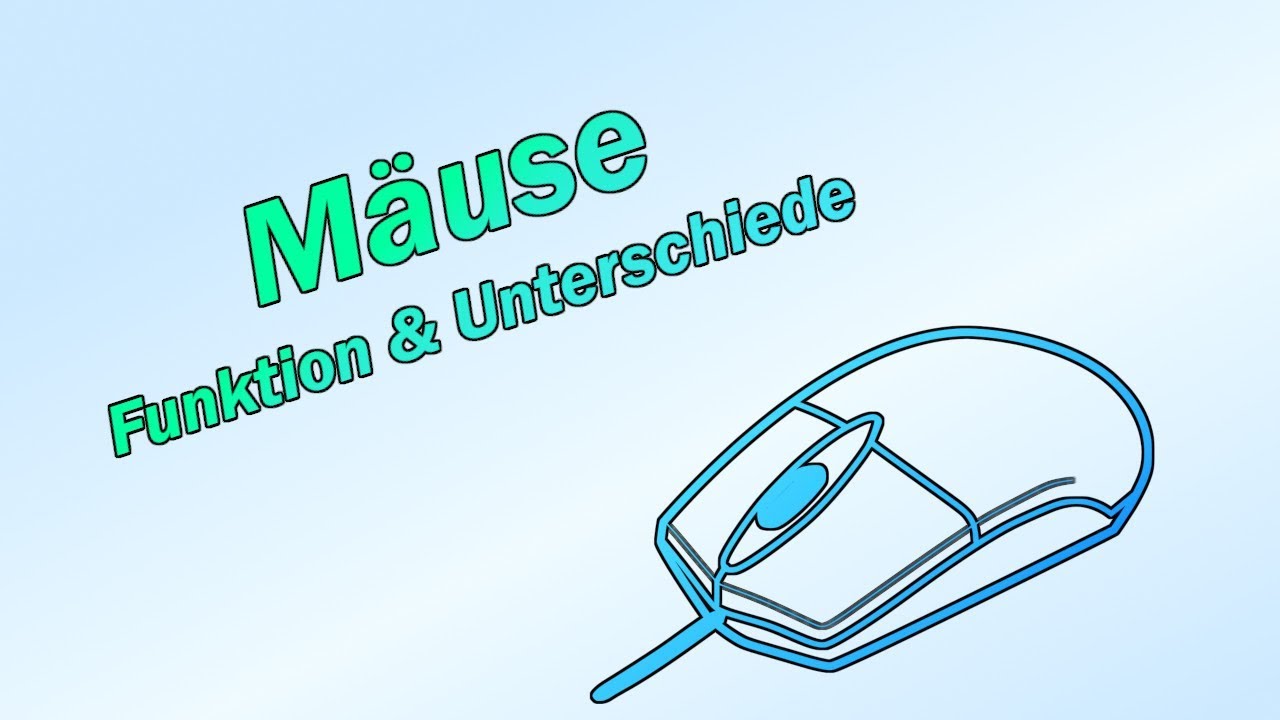Mäuse - Funktion und Unterschiede