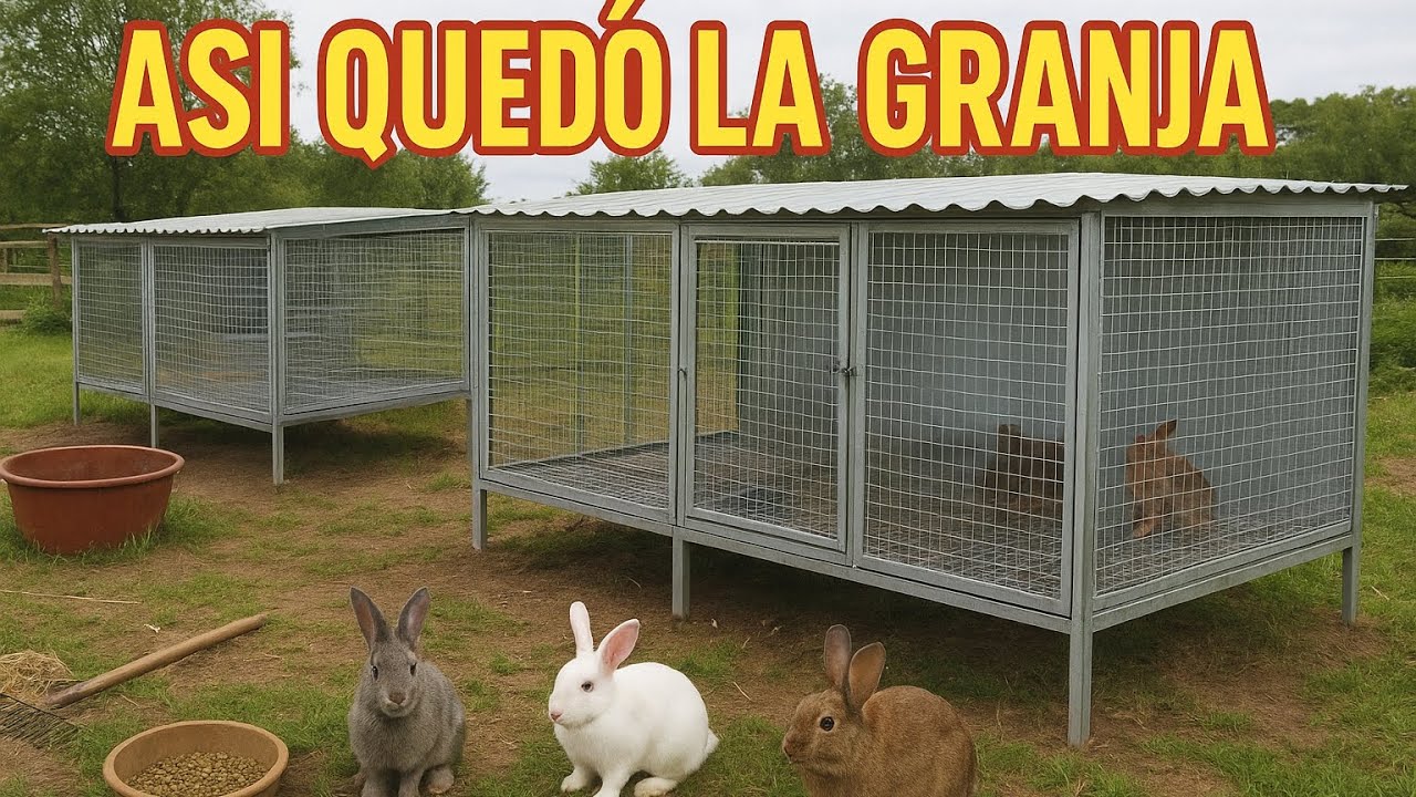 Arreglamos la granja así quedó todo nuevo 🤩