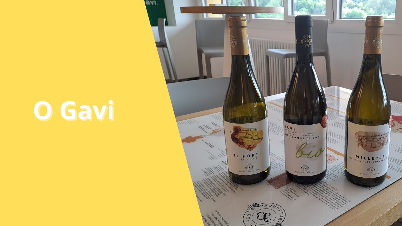 À descoberta do Gavi, o branco que você não espera