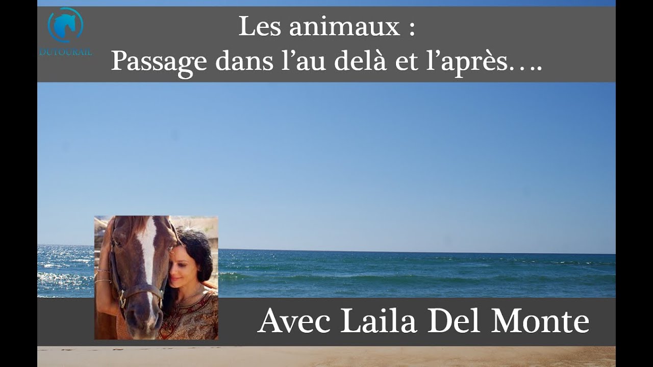 Les animaux : passage dans l'au delà et l'après...