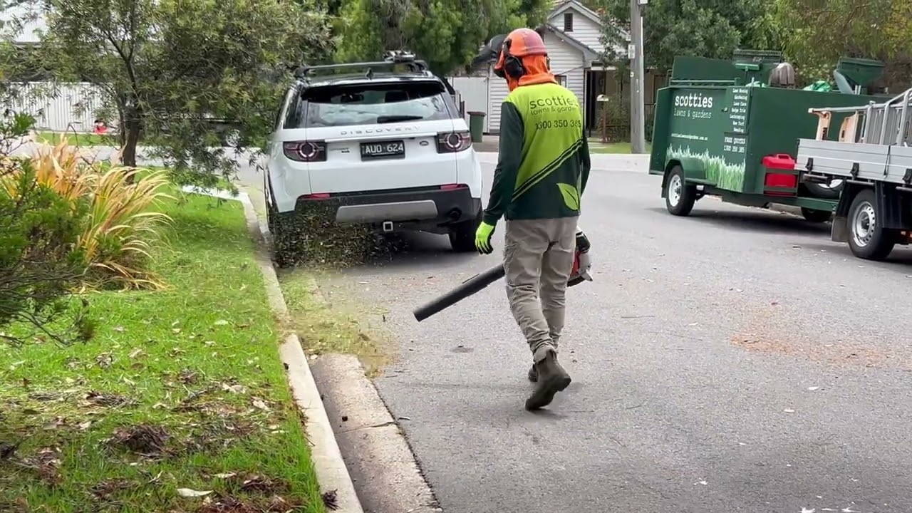 Long Nature Strip Edge, Lawn Mowing and Blowing 